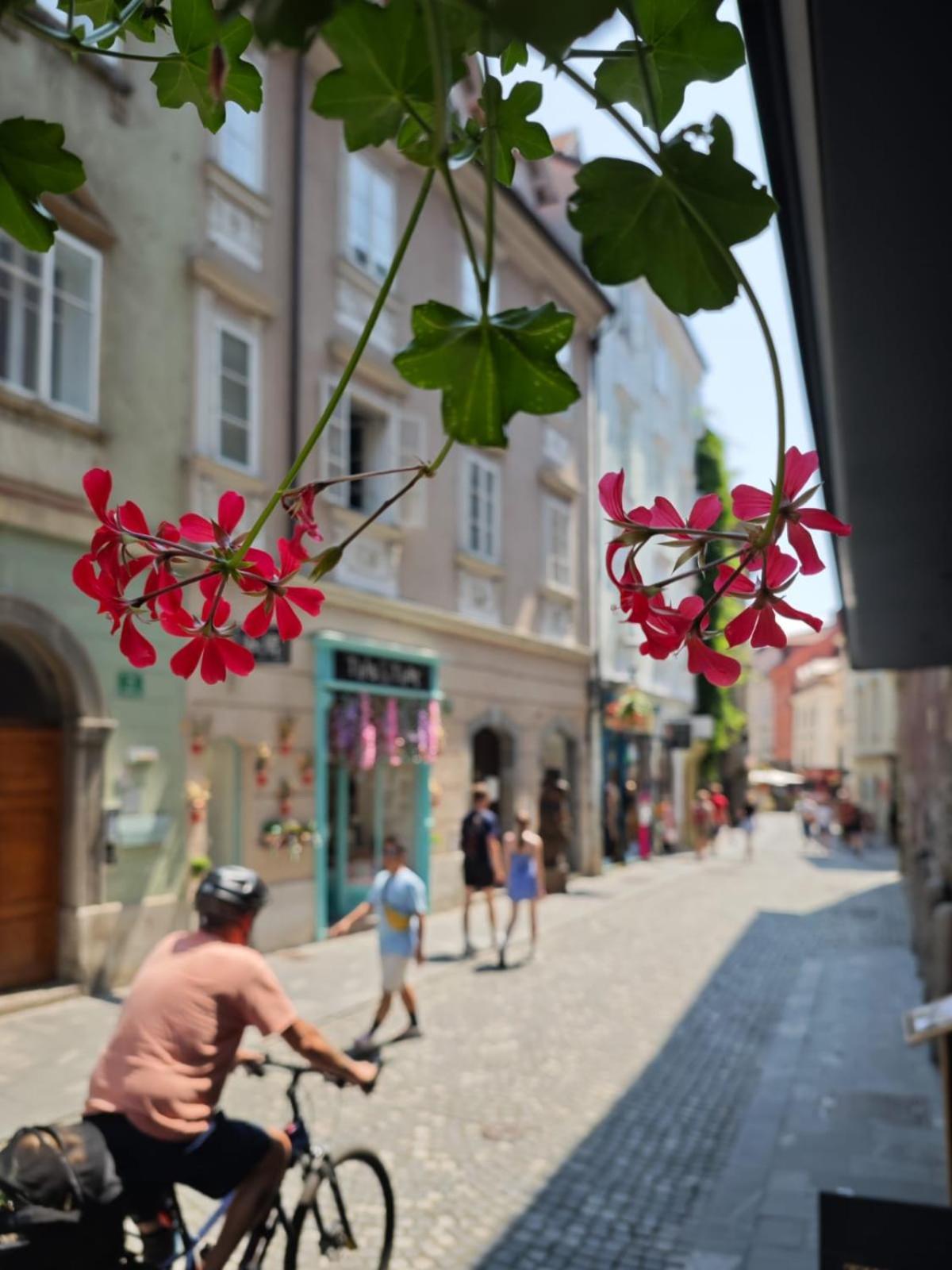 Mondo Diverso Ljubljana Buitenkant foto